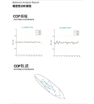 Features of Static Plantar Pressure Analysis System GaitnovateⅠ