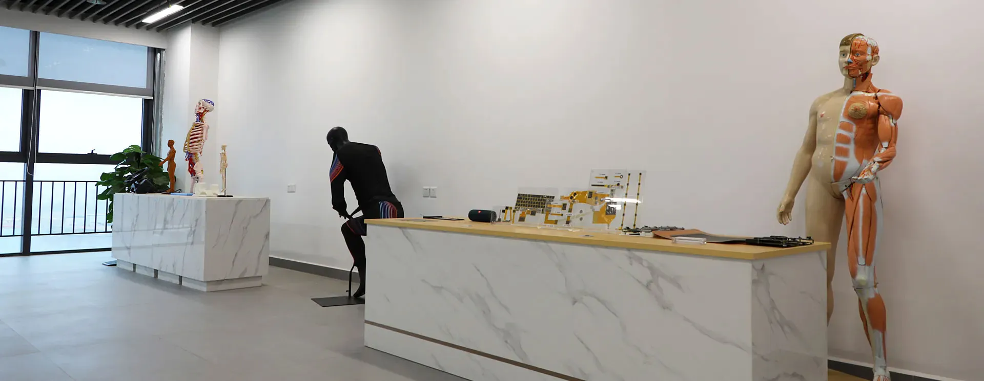 Understanding Disposable Electronic Endoscope