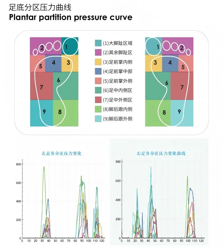 Comprehensive Plantar Pressure Analysis System-Gaitnovate Ⅲ