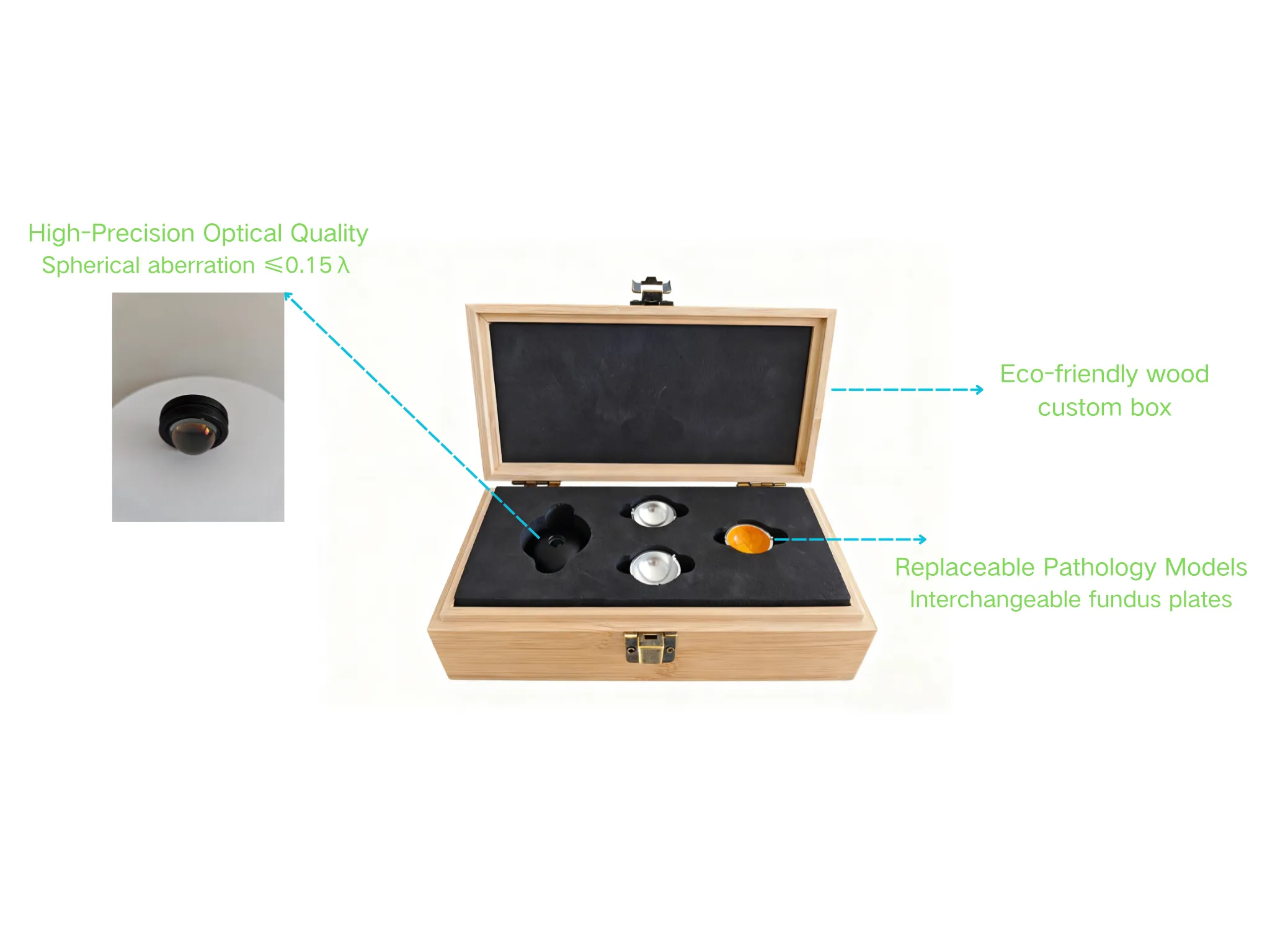 Features of Simulated Eye