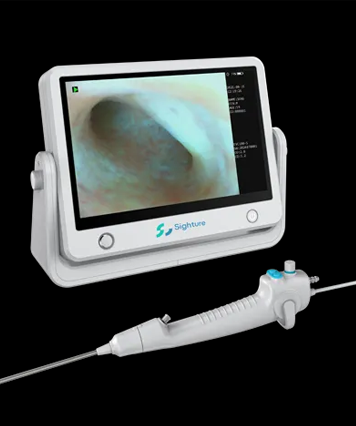 electronic endoscopy